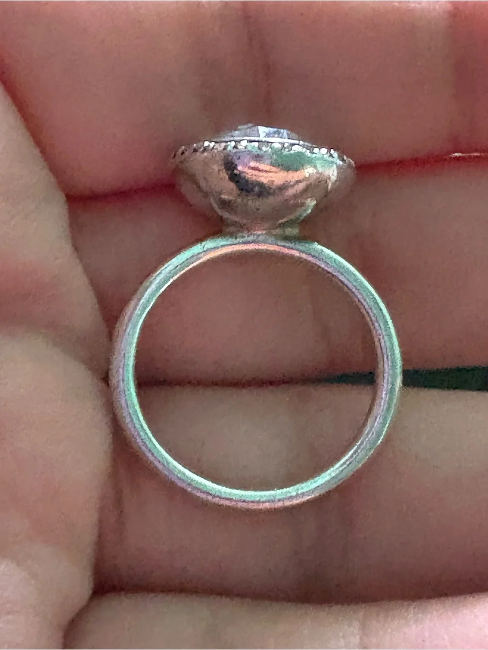 Pandora elegant sterling